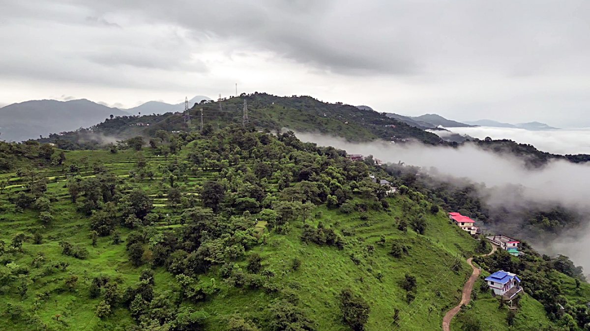 Dense fog and clouds engulf Mandi hill station amid orange alert