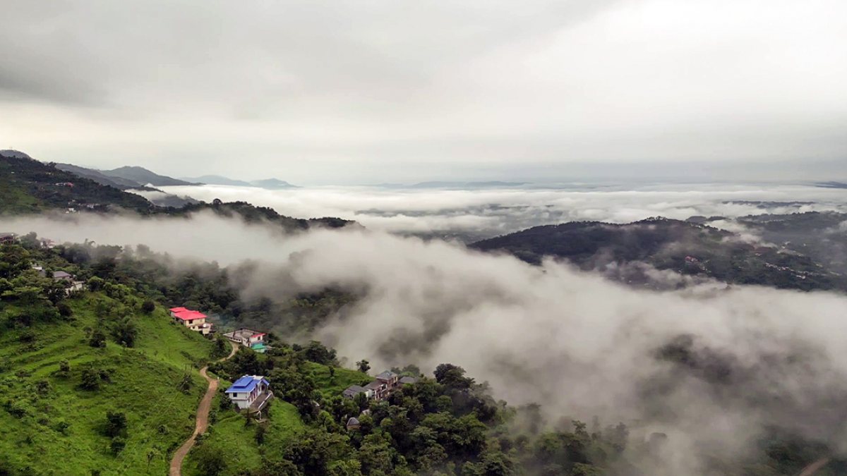 Dense fog and clouds engulf Mandi hill station amid orange alert