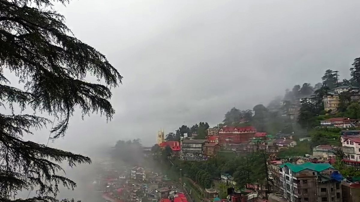 Dense fog engulfs Shimla amid heavy rainfall and low visibility
