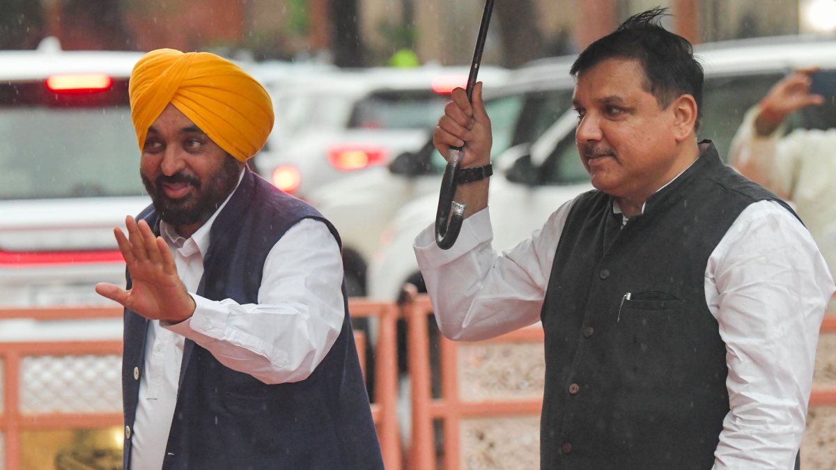 Punjab CM Mann and AAP MP Sanjay Singh at Parliament