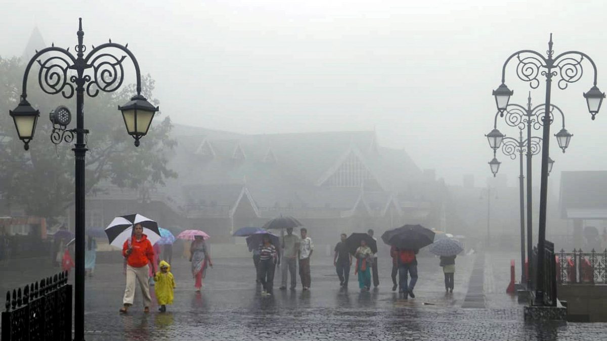 People walk with umbrellas during rainfall in Shimla