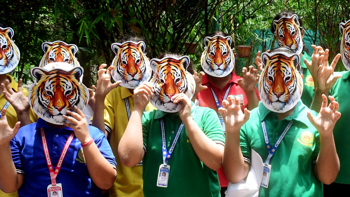 School students wear tiger masks for Save Tiger campaign in Patna