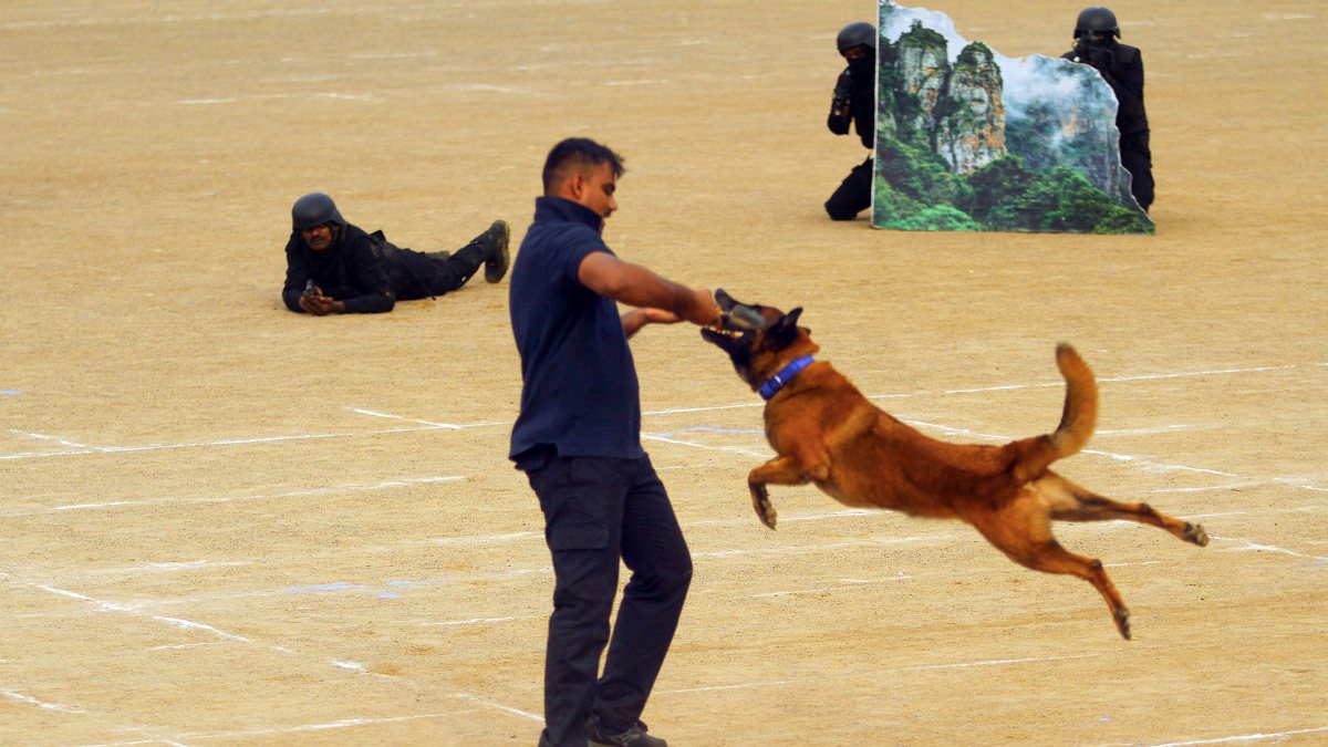 Chennai police dog squad performs at medal ceremony