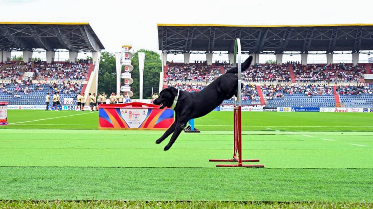 Army dog steals show at Durand Cup opening ceremony