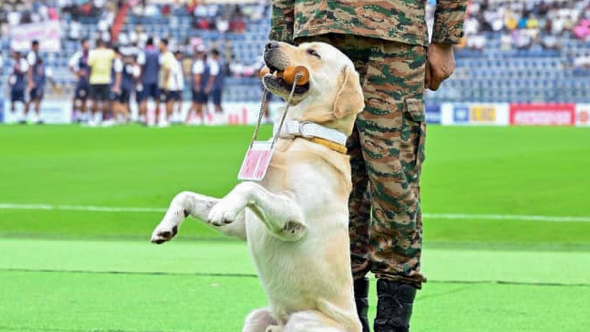 Army dog steals show at Durand Cup opening ceremony