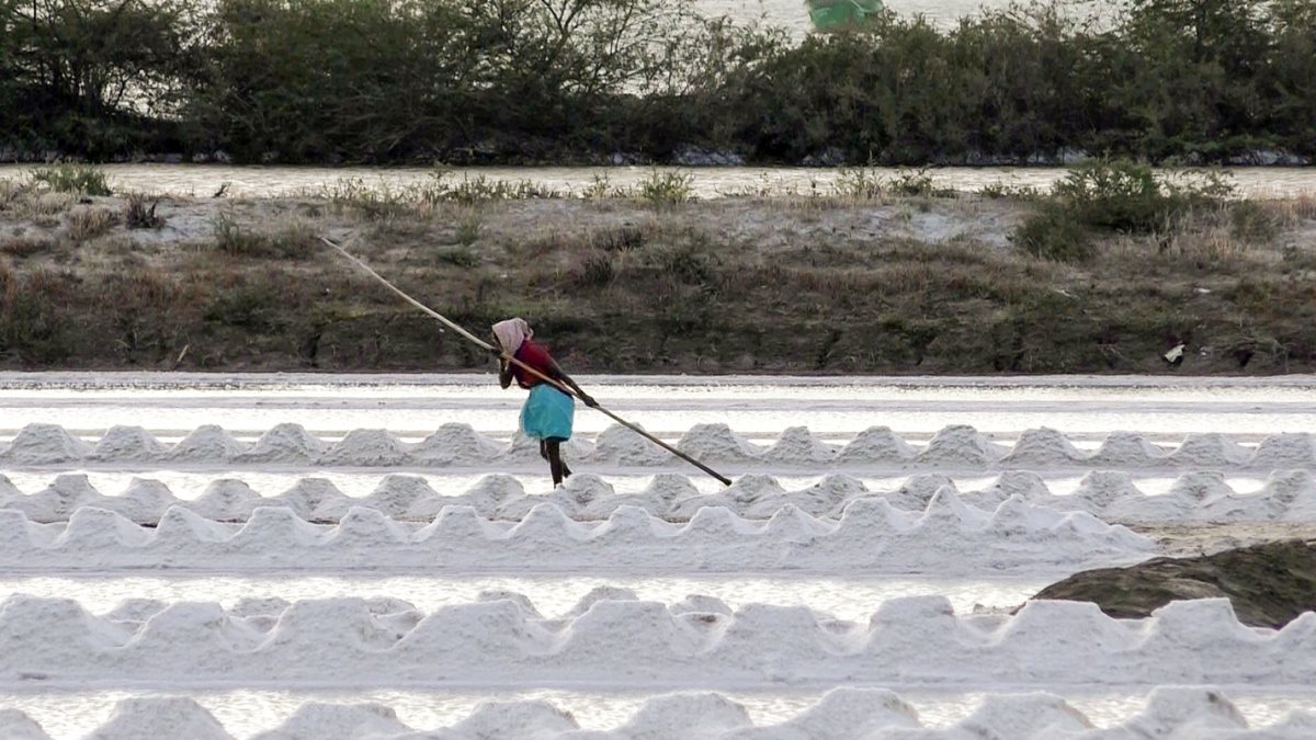 Salt production in full swing at Thoothukudi