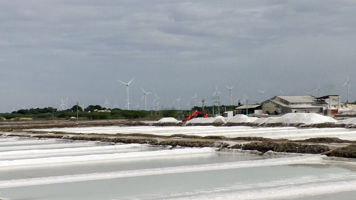 Salt production in full swing at Thoothukudi salt pans