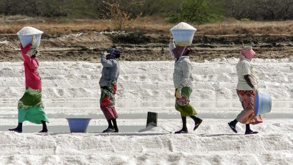 Salt production in full swing at Thoothukudi