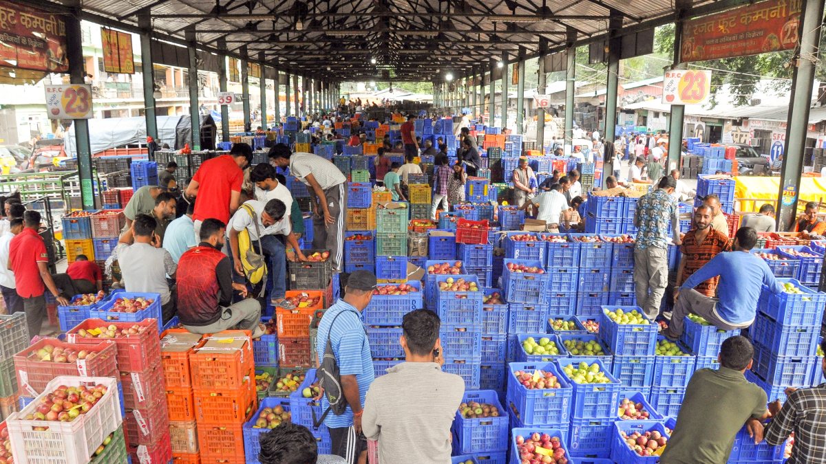 Kullu market buzzes as apple, tomato harvest peaks