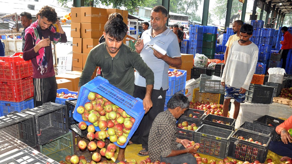 Kullu apple harvest peaks at Bhuntar market