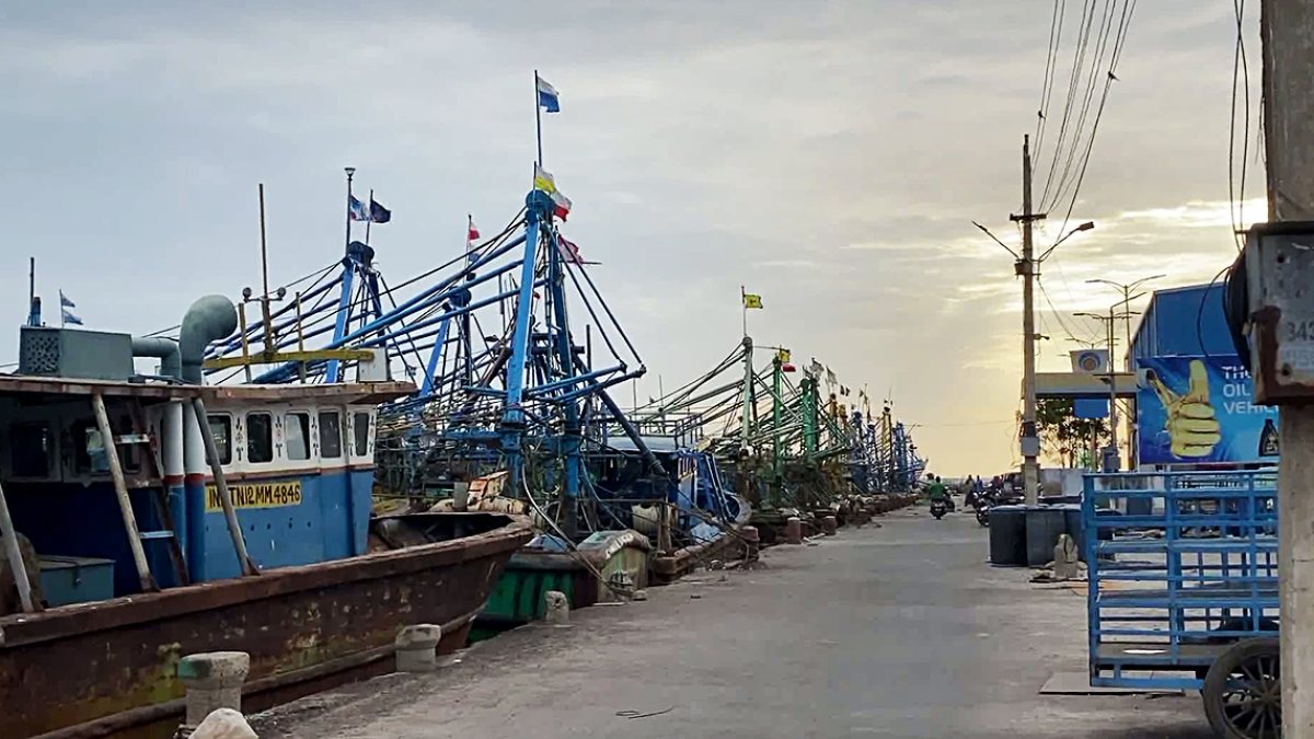 Mechanised fishing boats line Thoothukudi shore during annual feast