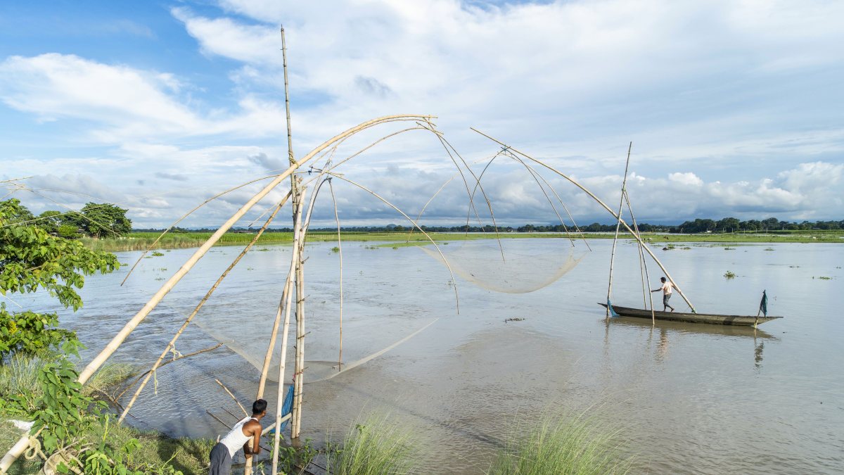 Floodwaters submerge farmland as Assam fishermen cast nets