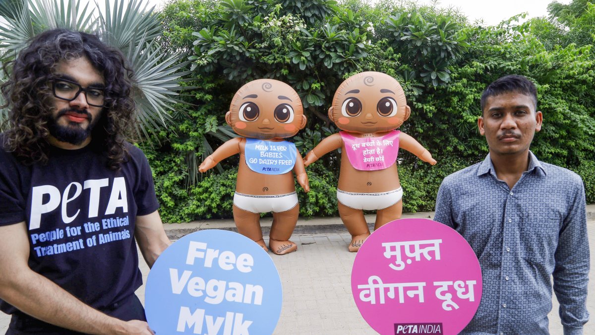 PETA supporters in inflatable infant suits at breastfeeding event
