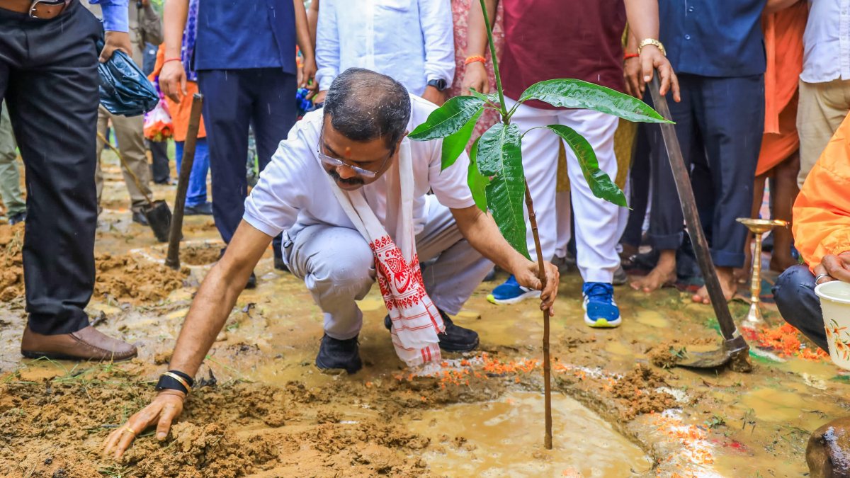 BJP MP leads tree plantation drive in Sambalpur