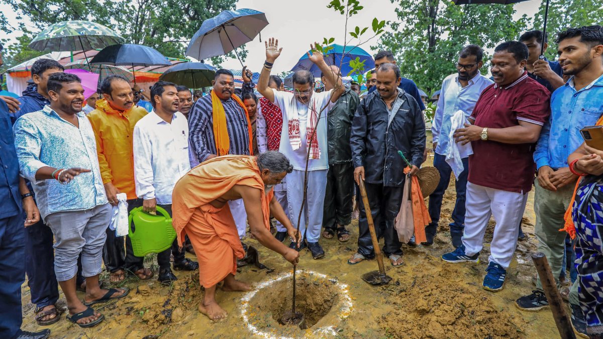 BJP MP joins tree plantation drive in Odisha