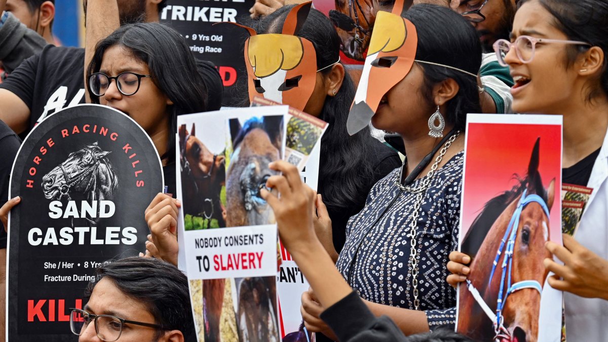 Members of Bengaluru Brigade for Animal Liberation (BBAL) demand an indefinite…