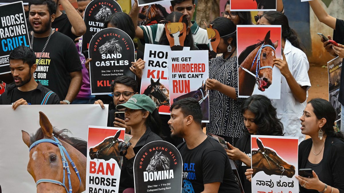 Members of Bengaluru Brigade for Animal Liberation (BBAL) demand an indefinite…