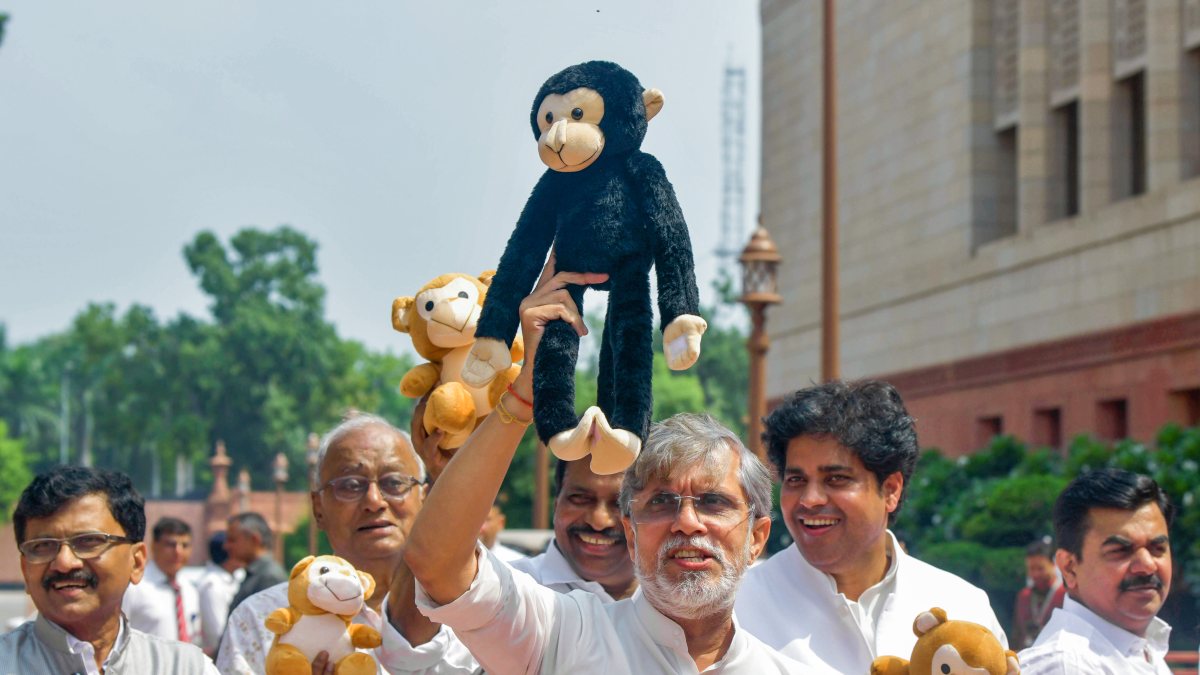 Opposition MPs protest at Parliament during monsoon session