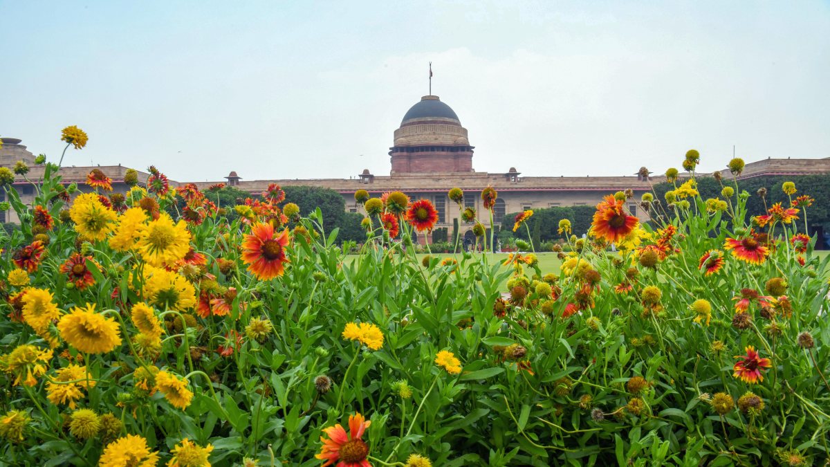 Amrit Udyan summer blooms on display at Rashtrapati Bhavan