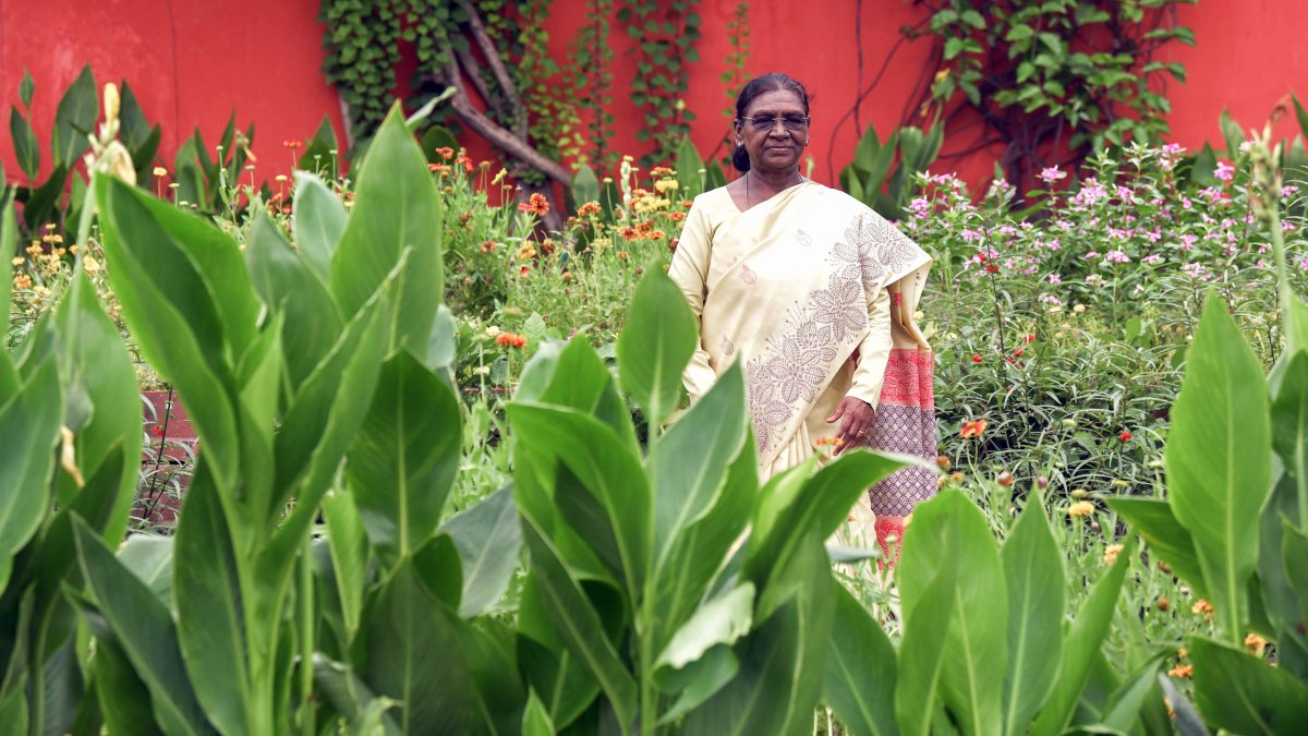 President Murmu opens Amrit Udyan Summer Annuals Edition 2026