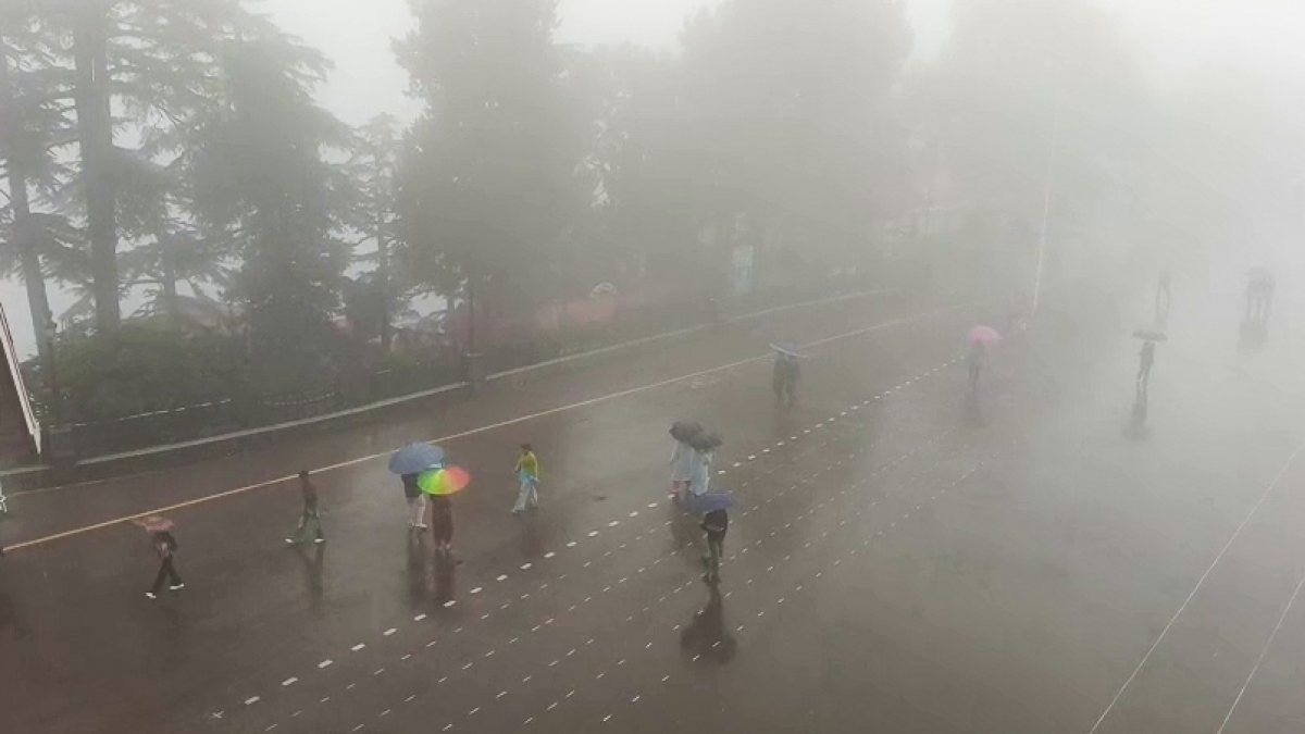 Fog engulfs Shimla as heavy rain lashes Himachal Pradesh