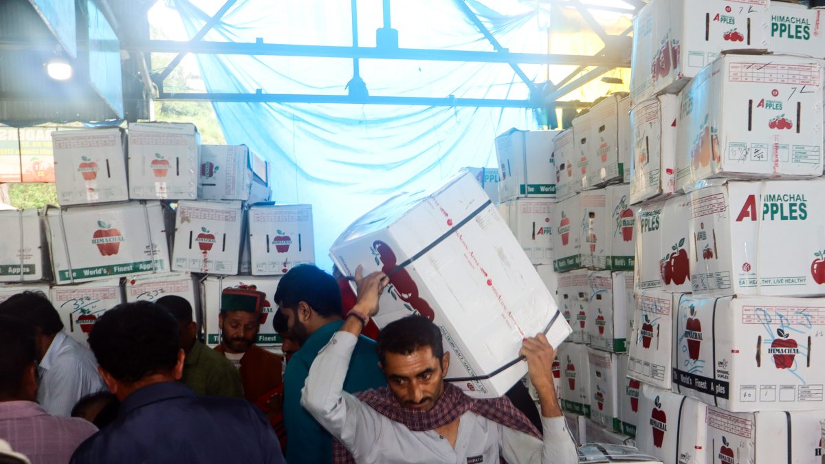 Shimla apple market bustling ahead of festive season
