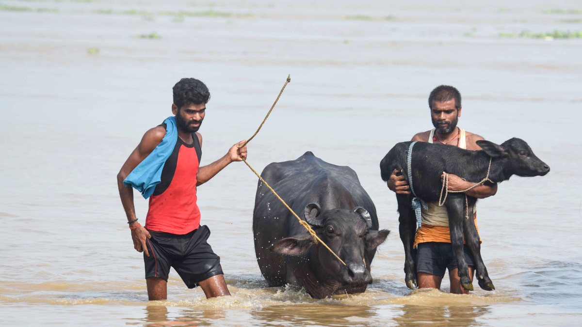 Bihar floods displace families as Ganga waters rise in Patna