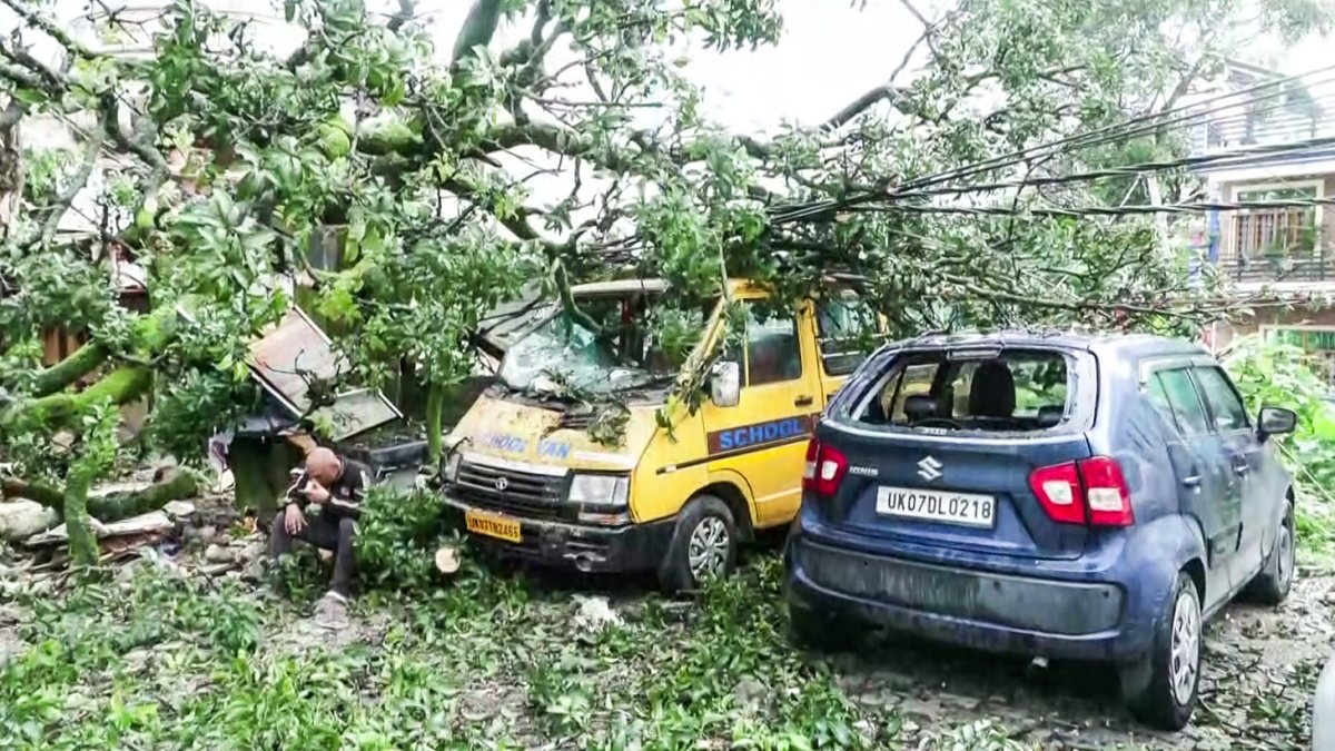 Heavy rain topples tree onto vehicles near Dehradun temple