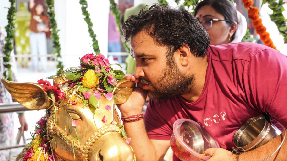 Devotee whispers wishes to Nandi on Sawan Shivratri