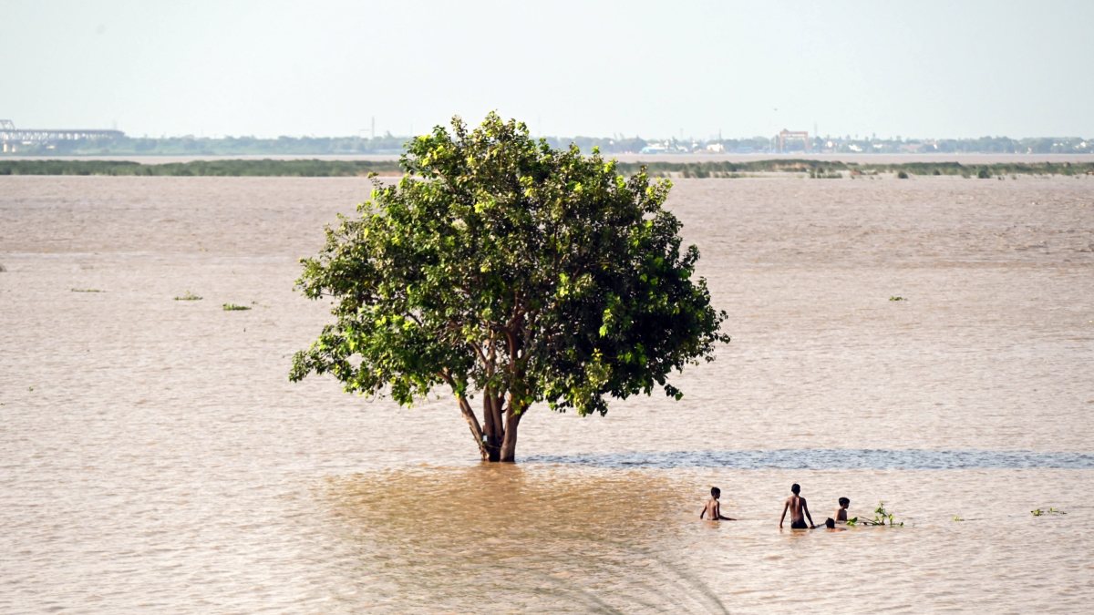 Children swim near lone tree amid flooded Ganga in Patna