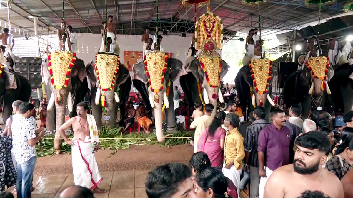 Decorative elephants mark Onam eve at Thrikkakkara temple