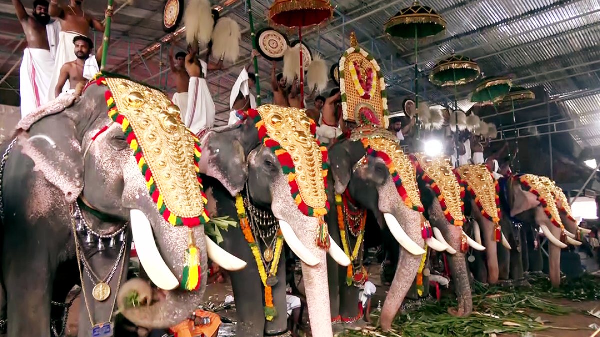 Decorative elephants mark Onam eve at Thrikkakkara temple