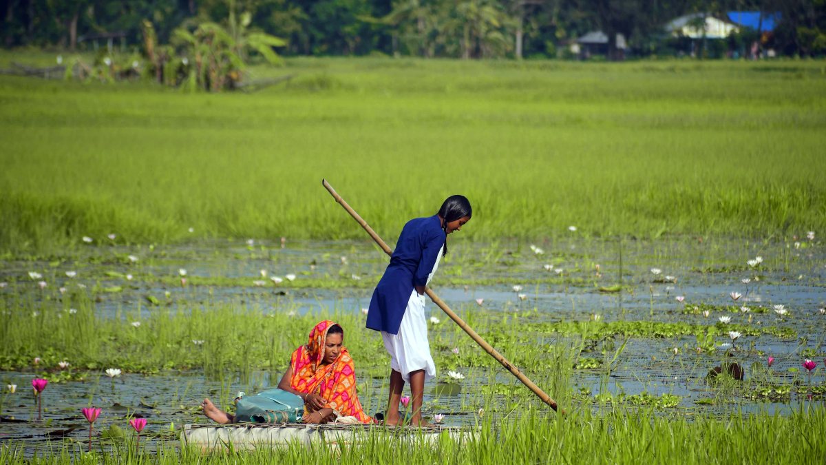 Schoolgirl crosses flooded wetland on makeshift raft