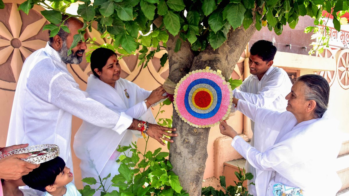 Brahma Kumaris tie rakhi on tree trunk in Bikaner