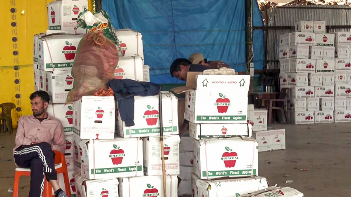 Apple farmers stock crates at Shimla storage facility