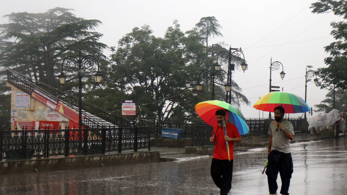 Heavy rainfall lashes Shimla, residents brave downpour with umbrellas