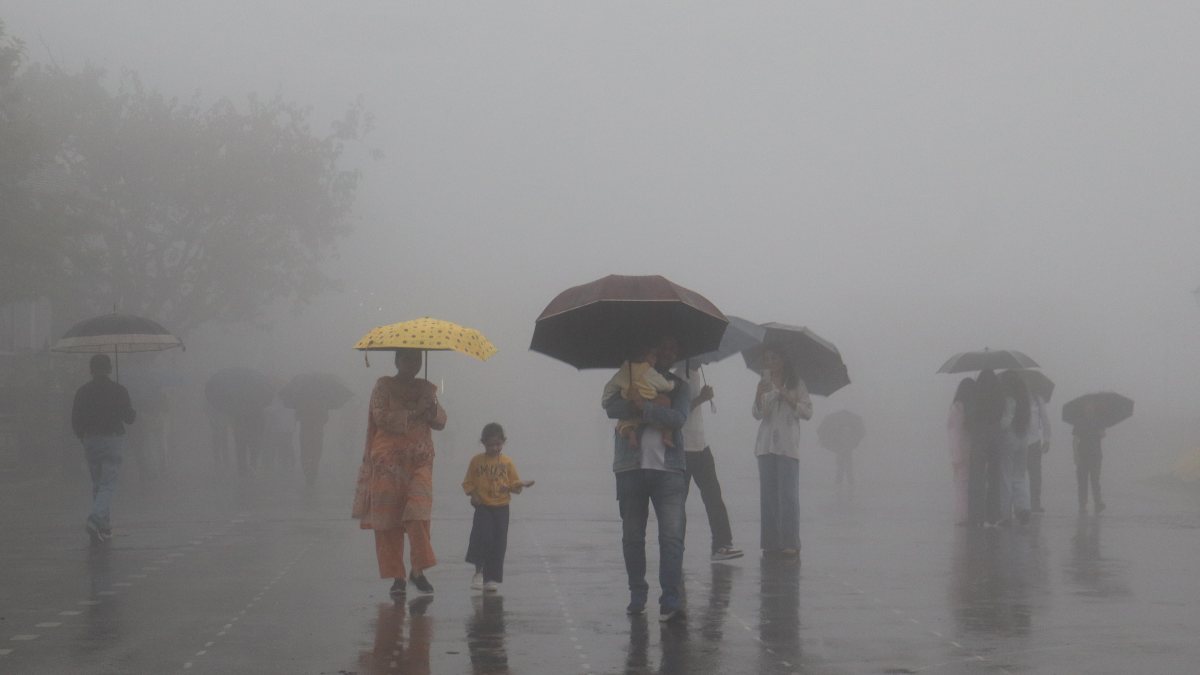 Heavy rainfall lashes Shimla, residents brave downpour with umbrellas