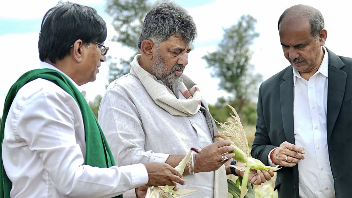 Karnataka CM inspects drought-hit maize fields in Gadag