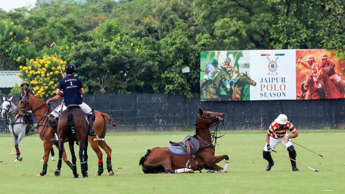 Polo player falls from horse during Jaipur match