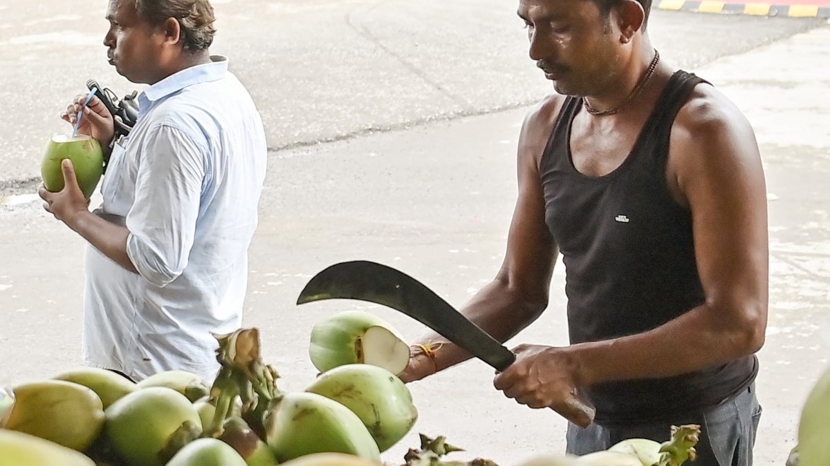 Coconut sellers mark World Coconut Day in Agartala
