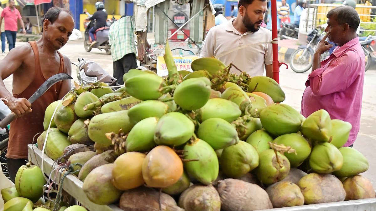 Coconut sellers mark World Coconut Day in Agartala