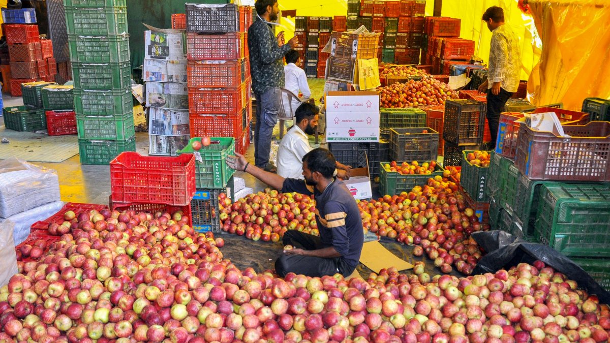 Apple sorting underway at Kullu packaging hub