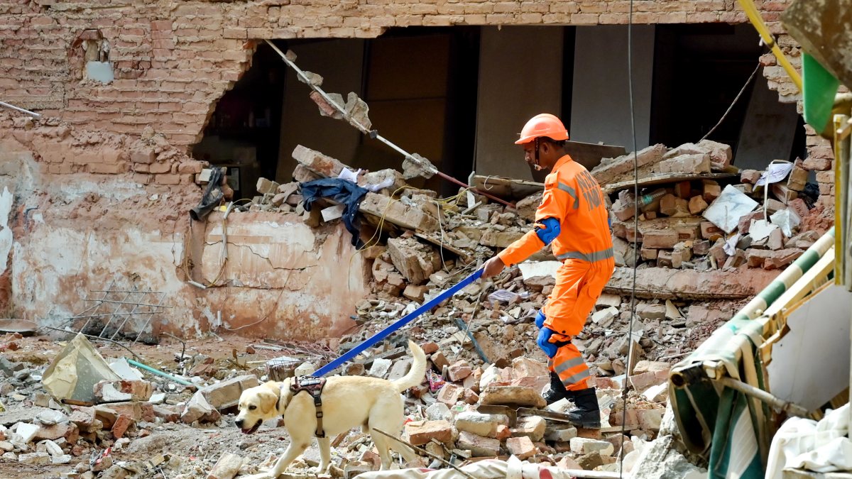 NDRF K9 squad joins rescue efforts at Delhi building collapse site