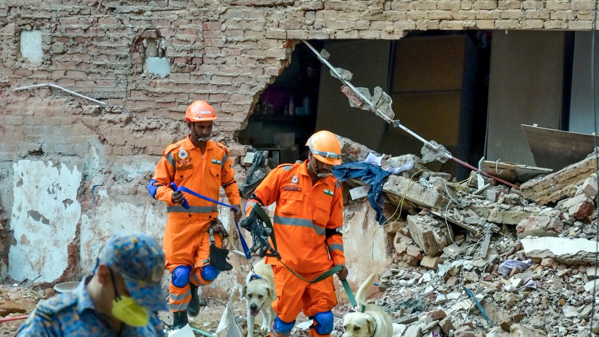 NDRF dog squad joins rescue at Delhi building collapse