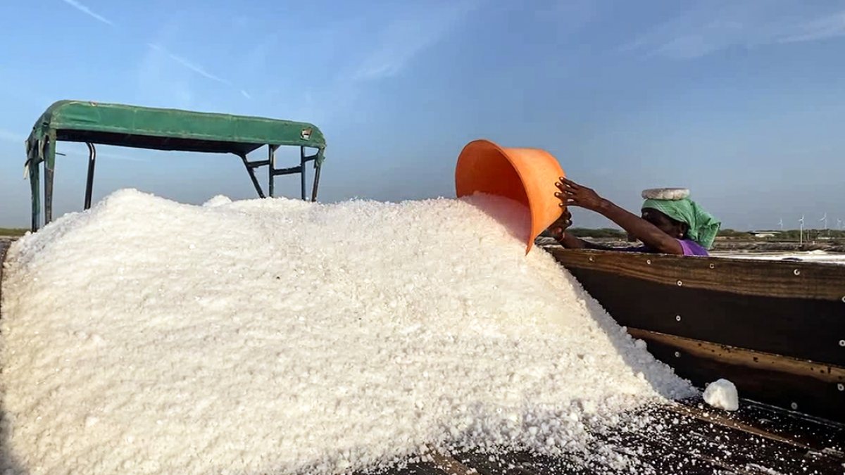 Salt production rises in Thoothukudi, worker collects harvest
