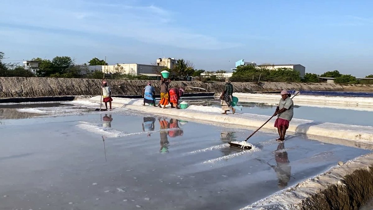 Salt production surges as women work in Thoothukudi fields