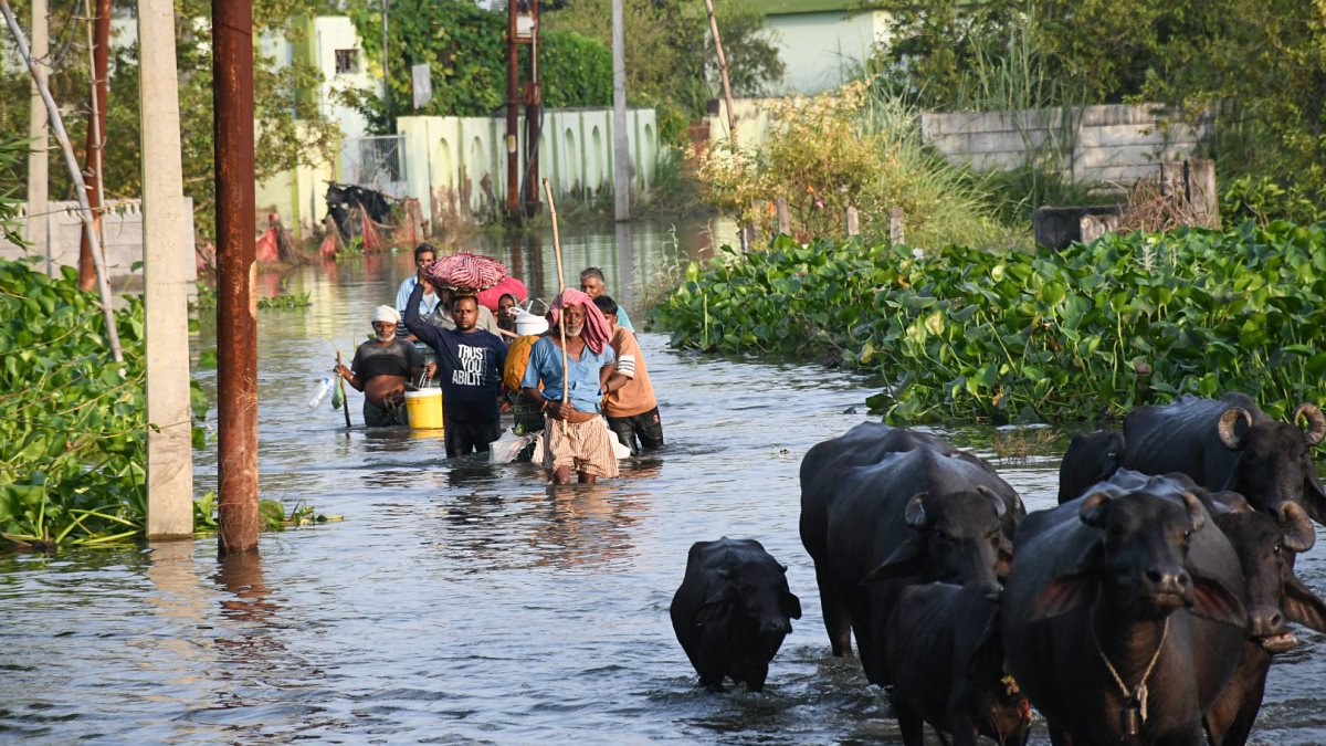 Flooded Ganga waters submerge Kanpur village, residents wade to safety