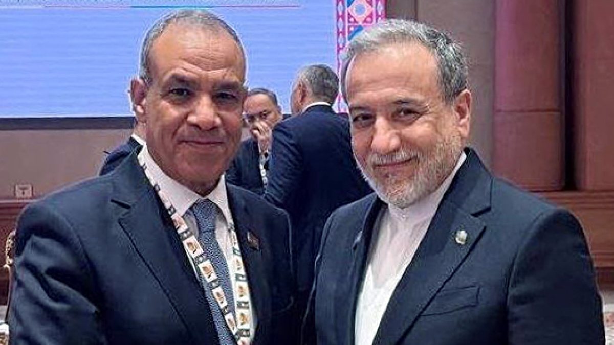 Iran Egypt foreign ministers meet at BRICS Summit in New Delhi