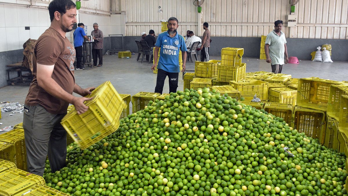 Lemon prices surge as vendor arranges stock in Surat