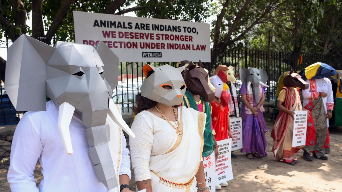 PETA India protests for stronger animal protection laws in New Delhi